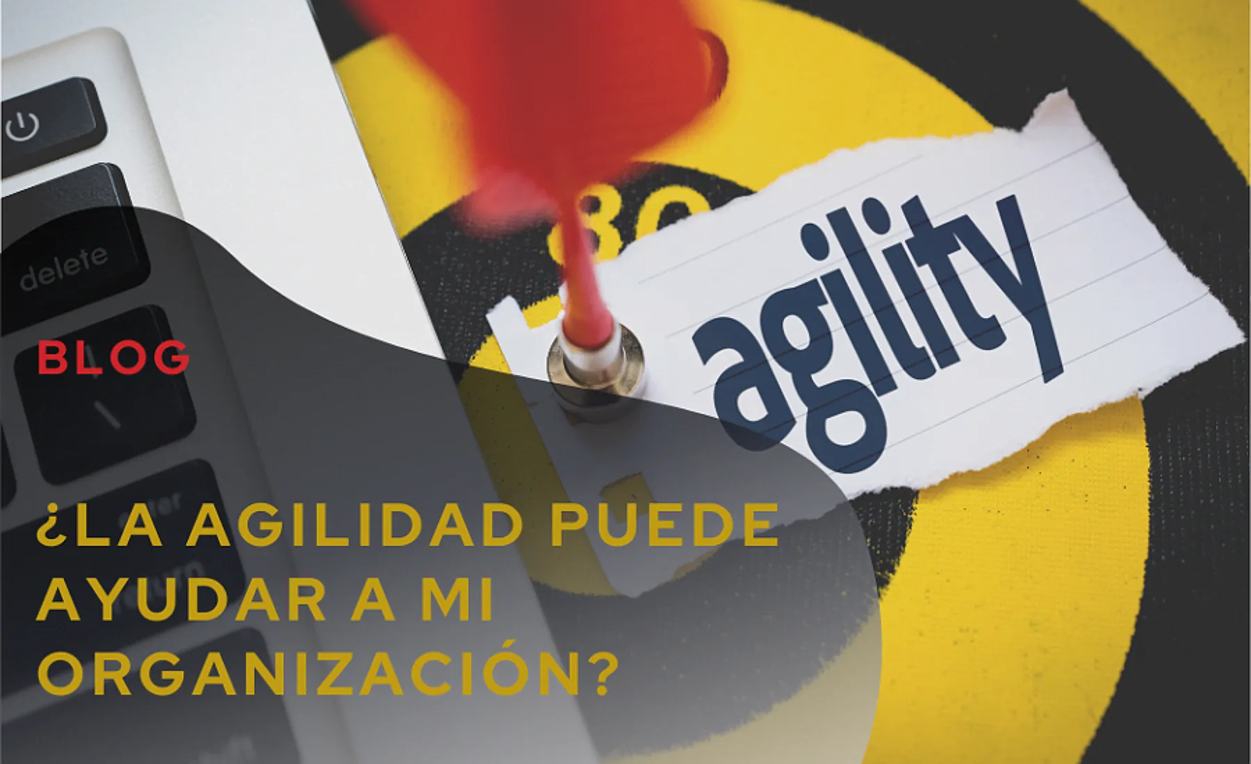 ¿La Agilidad puede ayudar a mi organización?